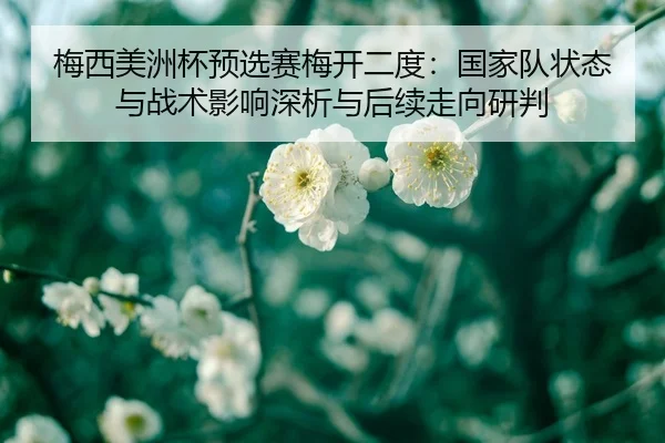 mei-xi-mei-zhou-bei-yu-xuan-sai-mei-kai-er-du-guo-jia-dui-zhuang-tai-yu-zhan-shu-ying-xiang-shen-xi-yu-hou-xu-zou-xiang-2-351.jpg